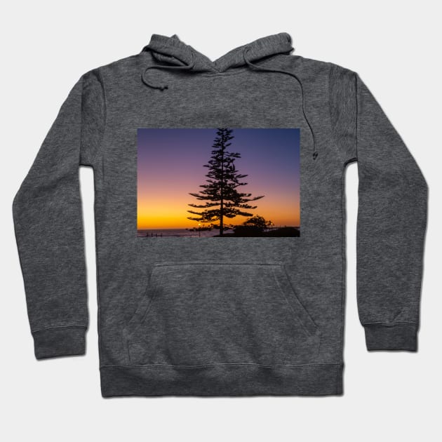 Namibia. Swakopmund. Tree. Sunset. Hoodie by vadim19